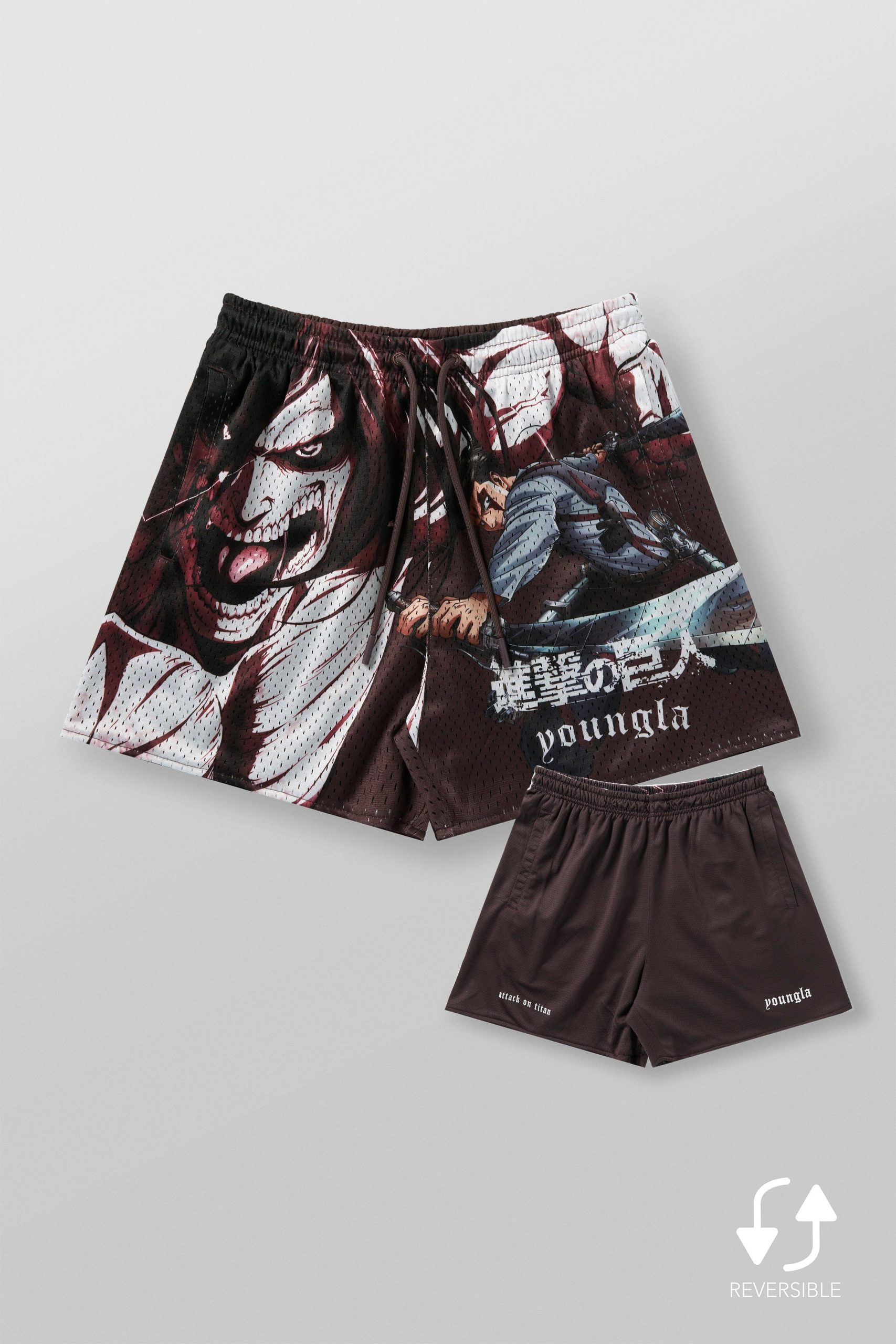 1126 - AOT? x YLA Mesh Shorts - Image 8